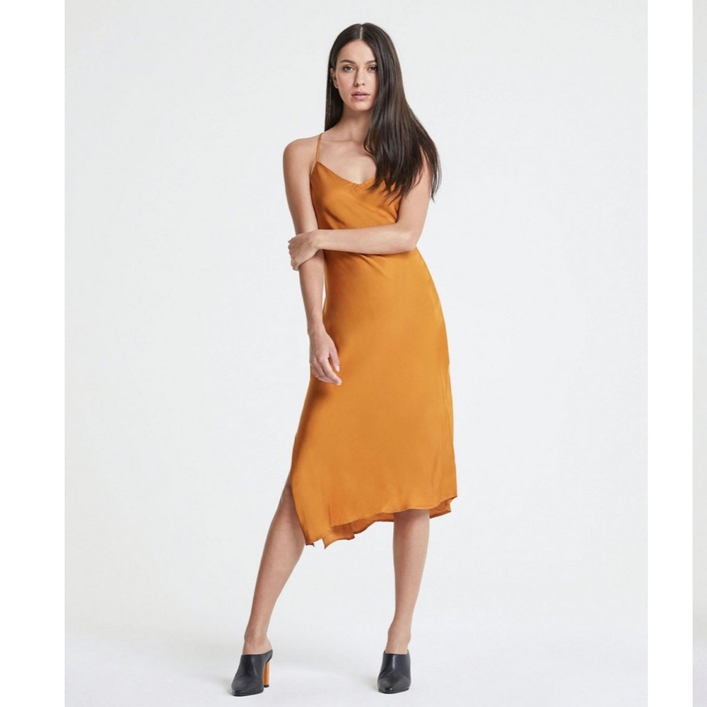 NWT Scarlett Slip dress